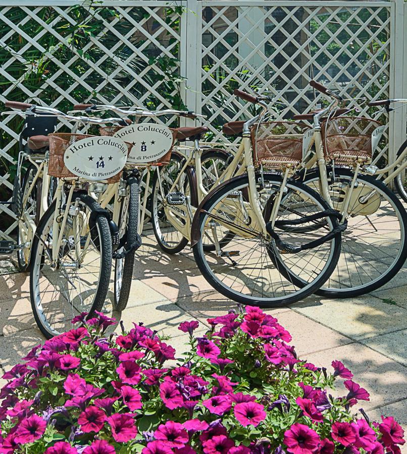 Hotel Coluccini Марина-ді-П'єтразанта Екстер'єр фото